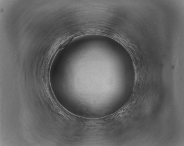 X0000074320241200609011544