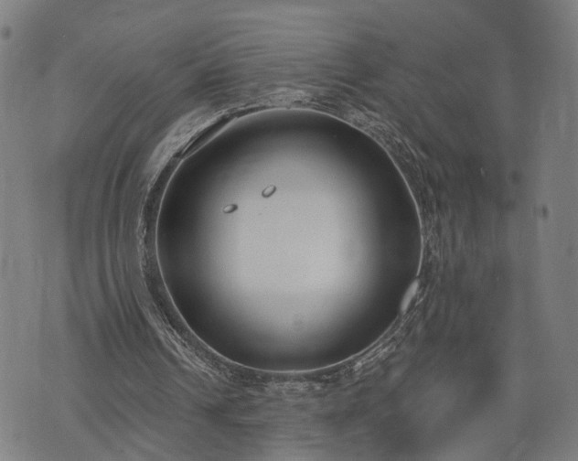 X0000074320242200609011544