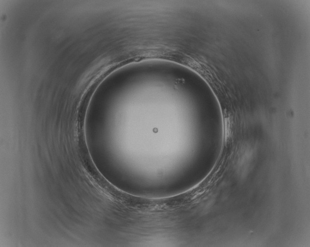 X0000074320243200609011544