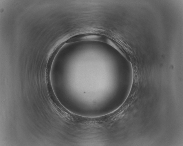 X0000074320244200609011544