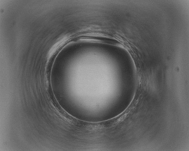 X0000074320245200609011545