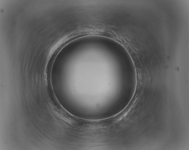 X0000074320246200609011545