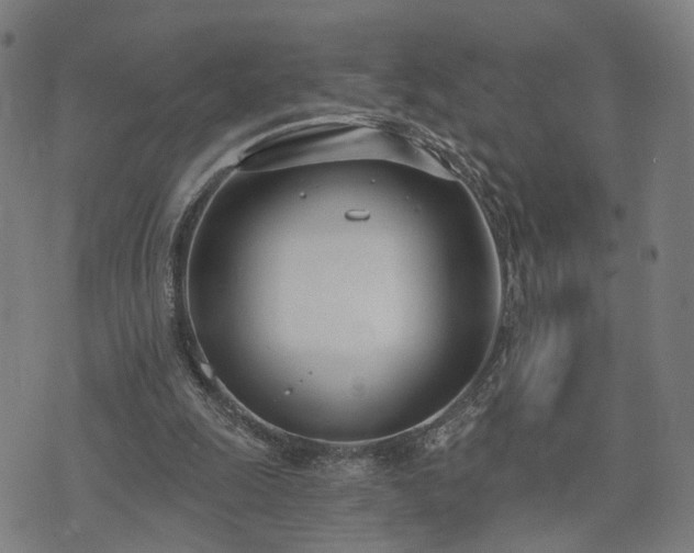 X0000074320247200609011545