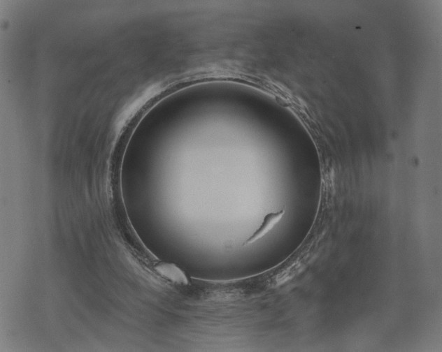 X0000074320248200609011545