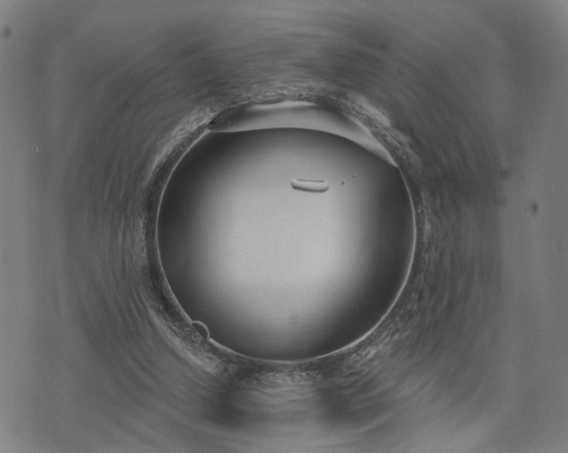 X0000074320250200609011545