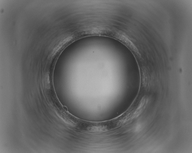 X0000074320251200609011545