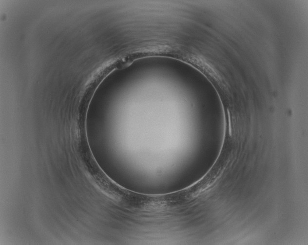 X0000074320252200609011545