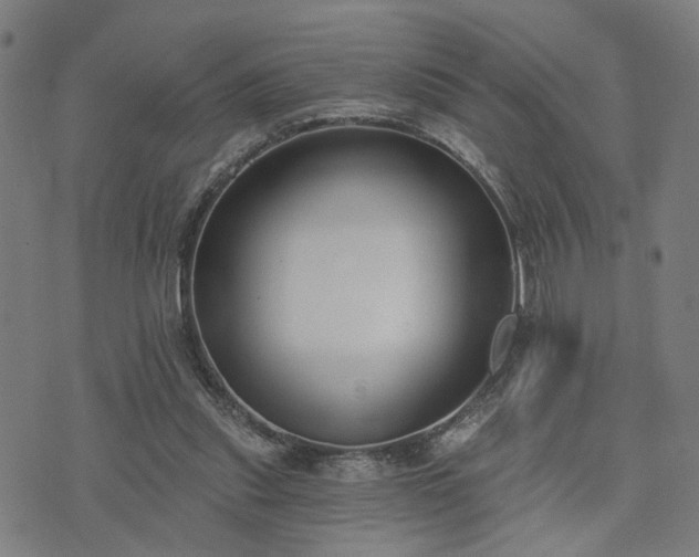 X0000074320253200609011545