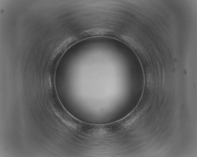 X0000074320254200609011545