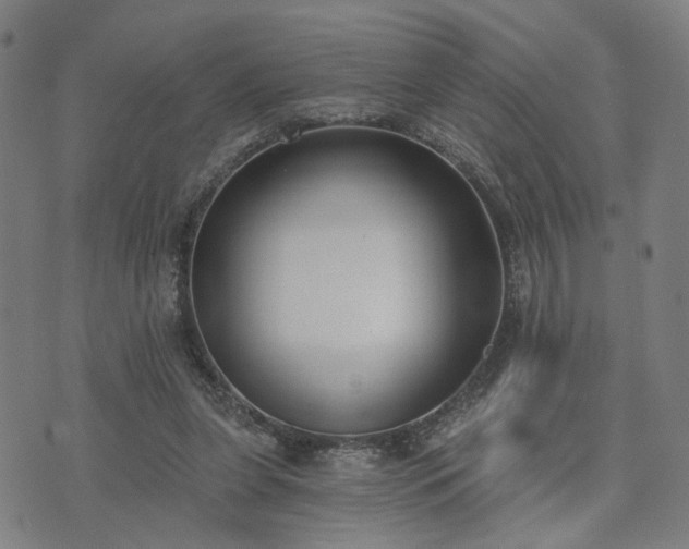 X0000074320255200609011545