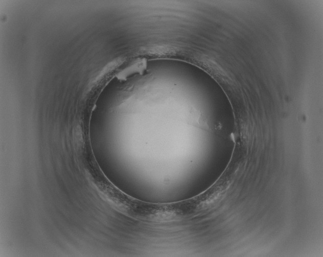 X0000074320256200609011545