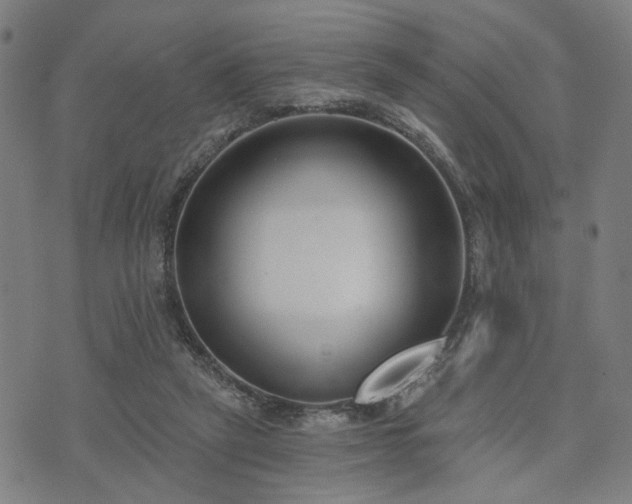 X0000074320257200609011545