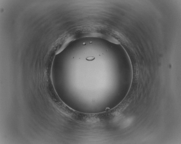 X0000074320258200609011545