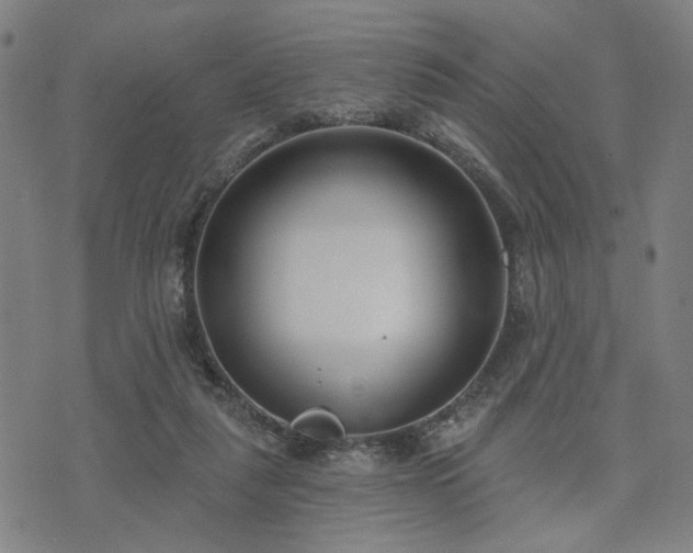 X0000074320259200609011545