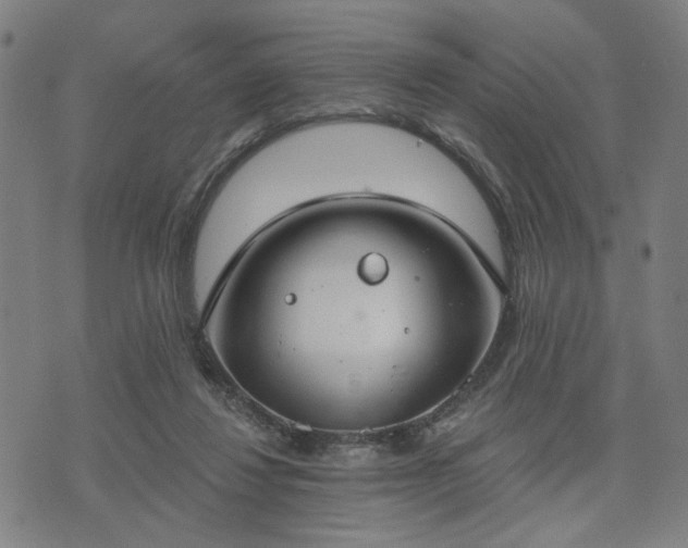 X0000074320260200609011545