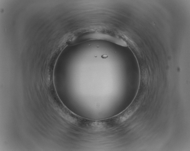 X0000074320261200609011545