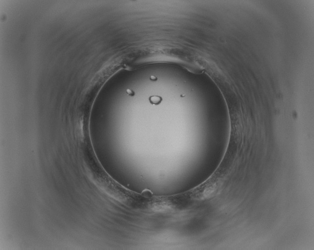 X0000074320262200609011545