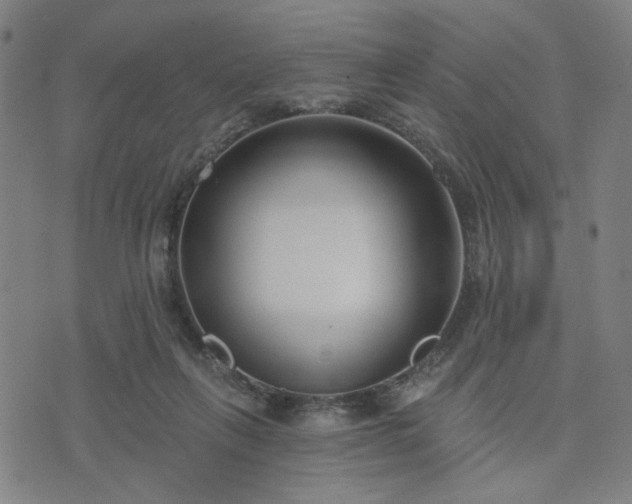 X0000074320263200609011545