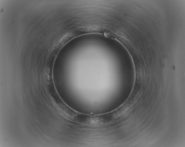 X0000074320264200609011545