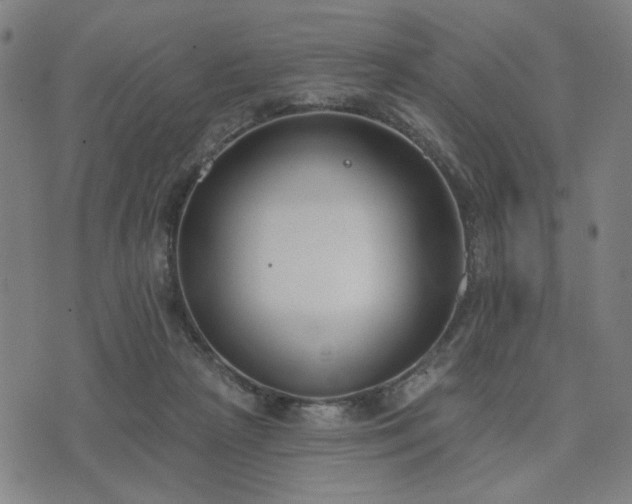 X0000074320265200609011545