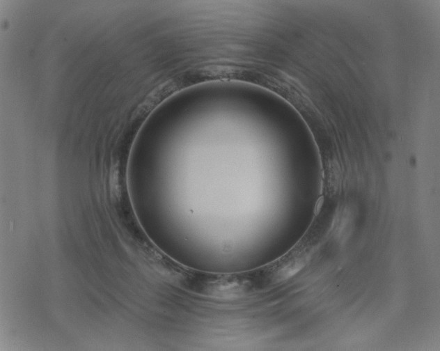 X0000074320267200609011545