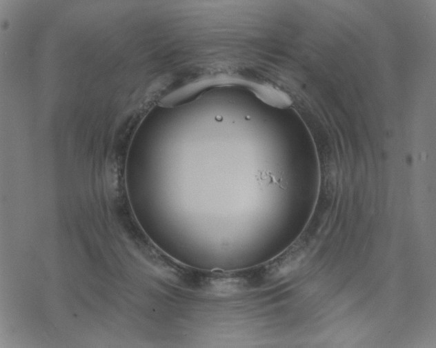 X0000074320268200609011545