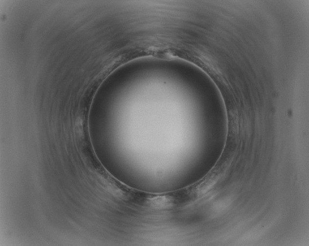 X0000074320269200609011545