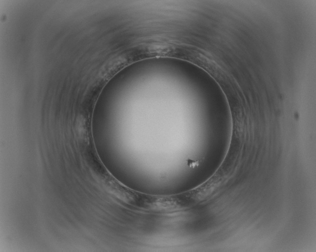 X0000074320270200609011545