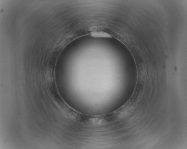 X0000074320272200609011545