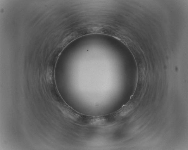 X0000074320274200609011545