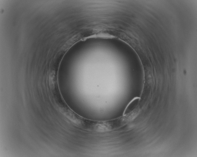 X0000074320275200609011545