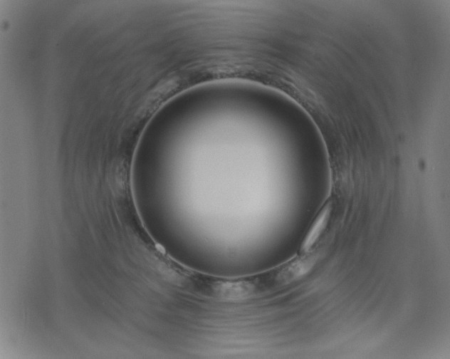 X0000074320277200609011545