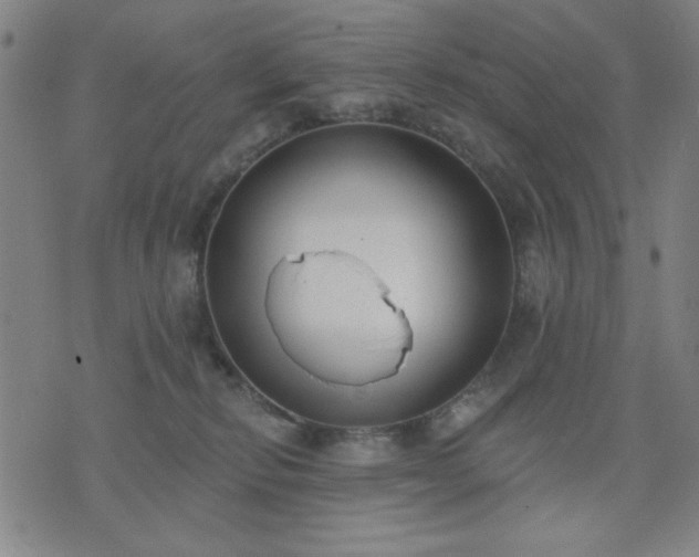 X0000074320278200609011545