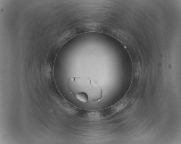 X0000074320279200609011545