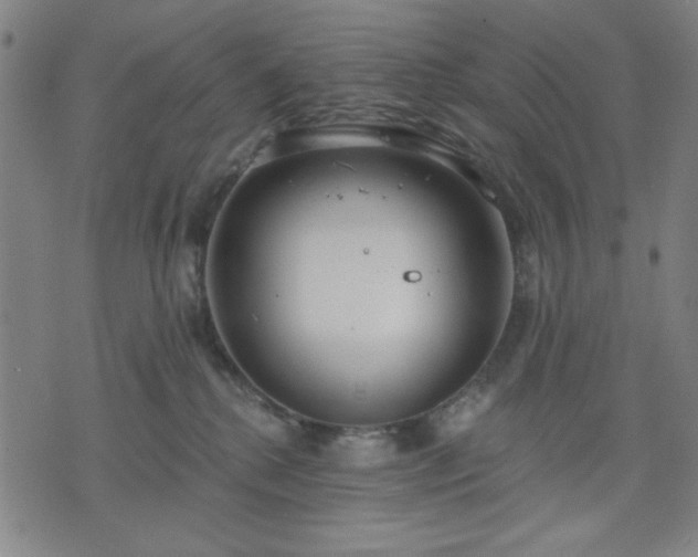 X0000074320280200609011545