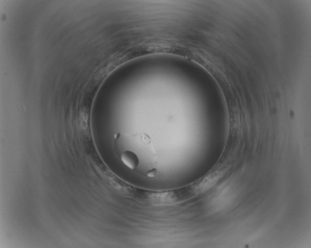 X0000074320281200609011545