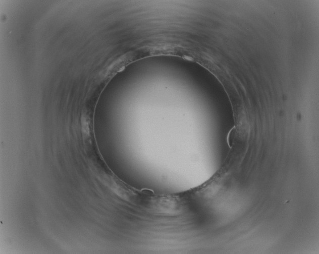 X0000074320282200609011545