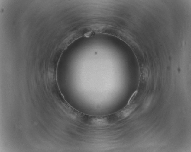 X0000074320283200609011545