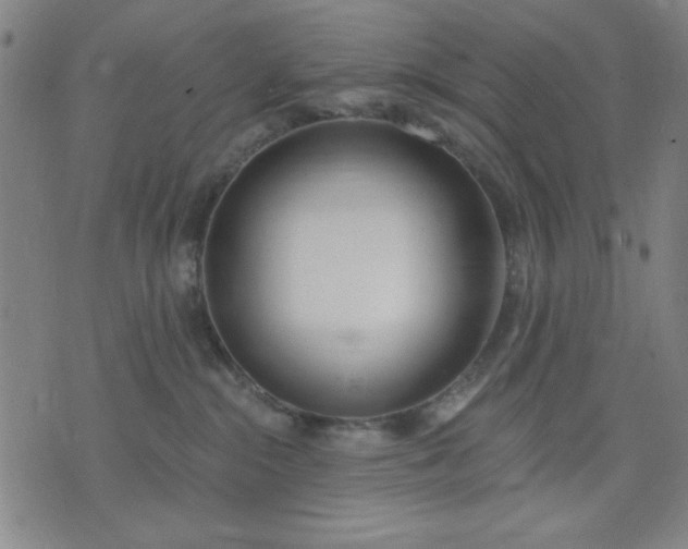 X0000074320284200609011545