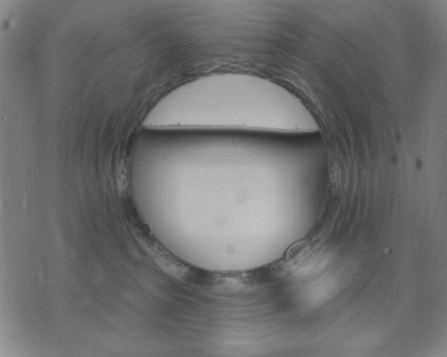 X0000074320285200609011545