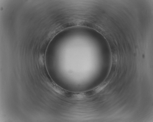 X0000074320286200609011545