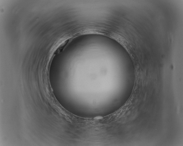 X0000074320289200609011544