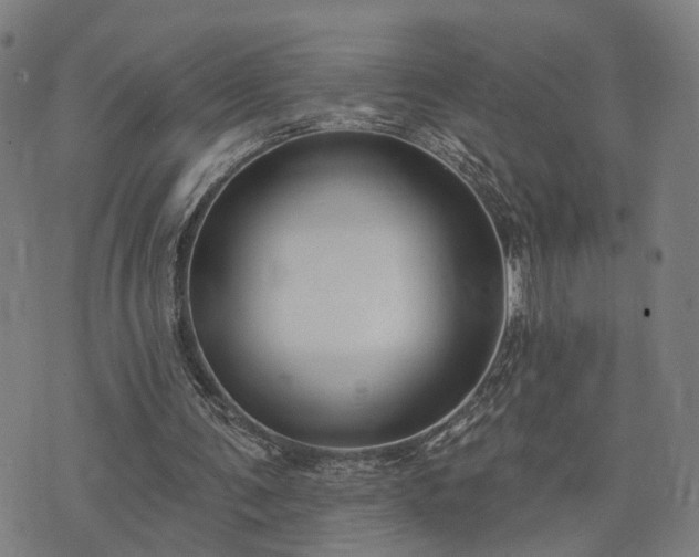 X0000074320291200609011544