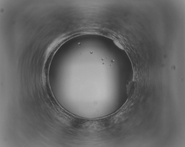 X0000074320294200609011544