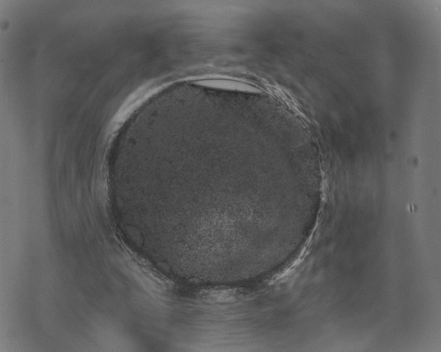 X0000074320295200609011544