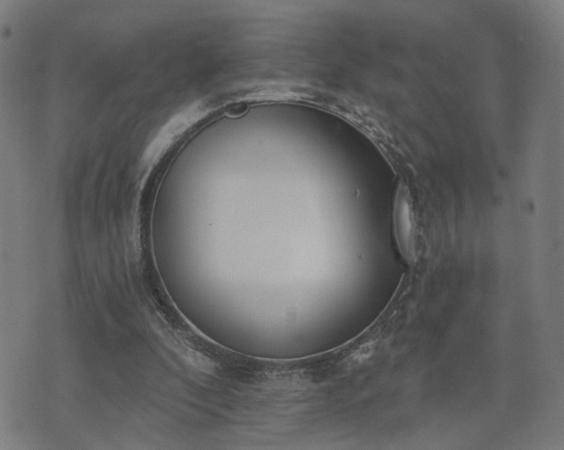 X0000074320296200609011544