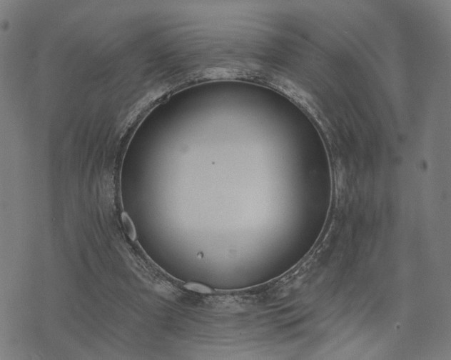 X0000074320297200609011544