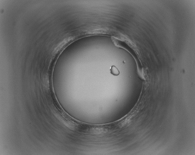 X0000074320298200609011544