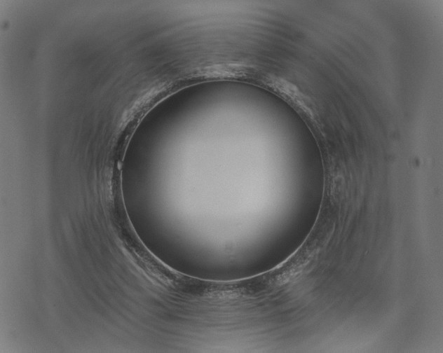 X0000074320299200609011544