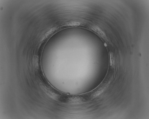 X0000074320300200609011544